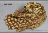 画像: コムサメン日本製ペイズリードットストール/メンズ/COMME CA MEN
